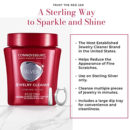 Silver Jewelry Cleaner, 8OZ